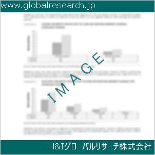 グローバルリサーチ調査資料のイメージ